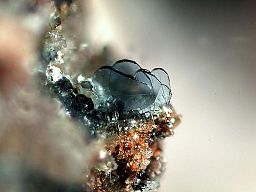 Osumilite (photo by Fred Kruijen via Wikimedia Commons: https://commons.wikimedia.org/wiki/File:Osumilite_tablets_-_Ochtendung,_Eifel,_Germany.jpg)